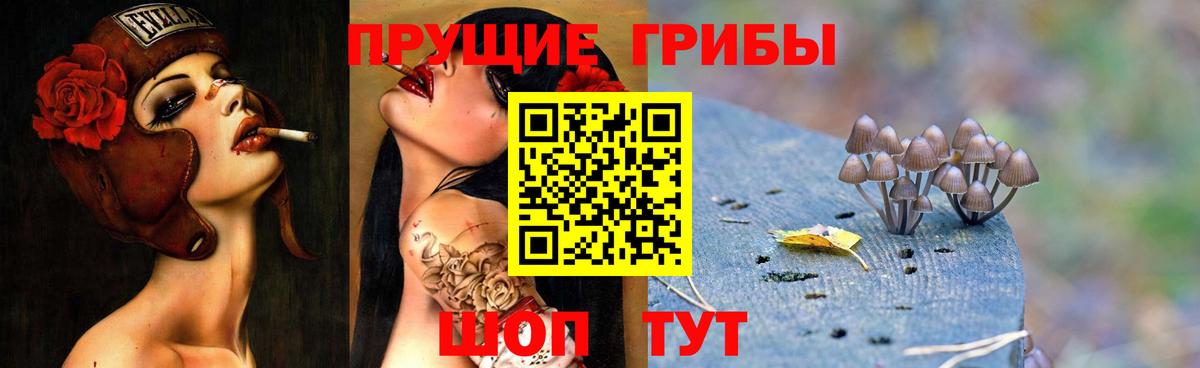 Псилоцибиновые грибы Cubensis  Вход с VPN  купить закладку  Михайловка 